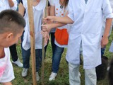 arbol5