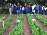 huerta3