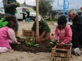huerta4