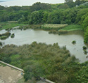 reserva