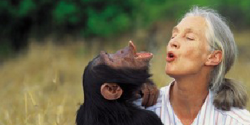 Jane Goodall