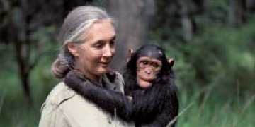 Jane Goodall