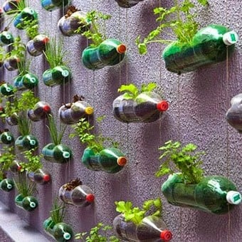 botellas recicladas