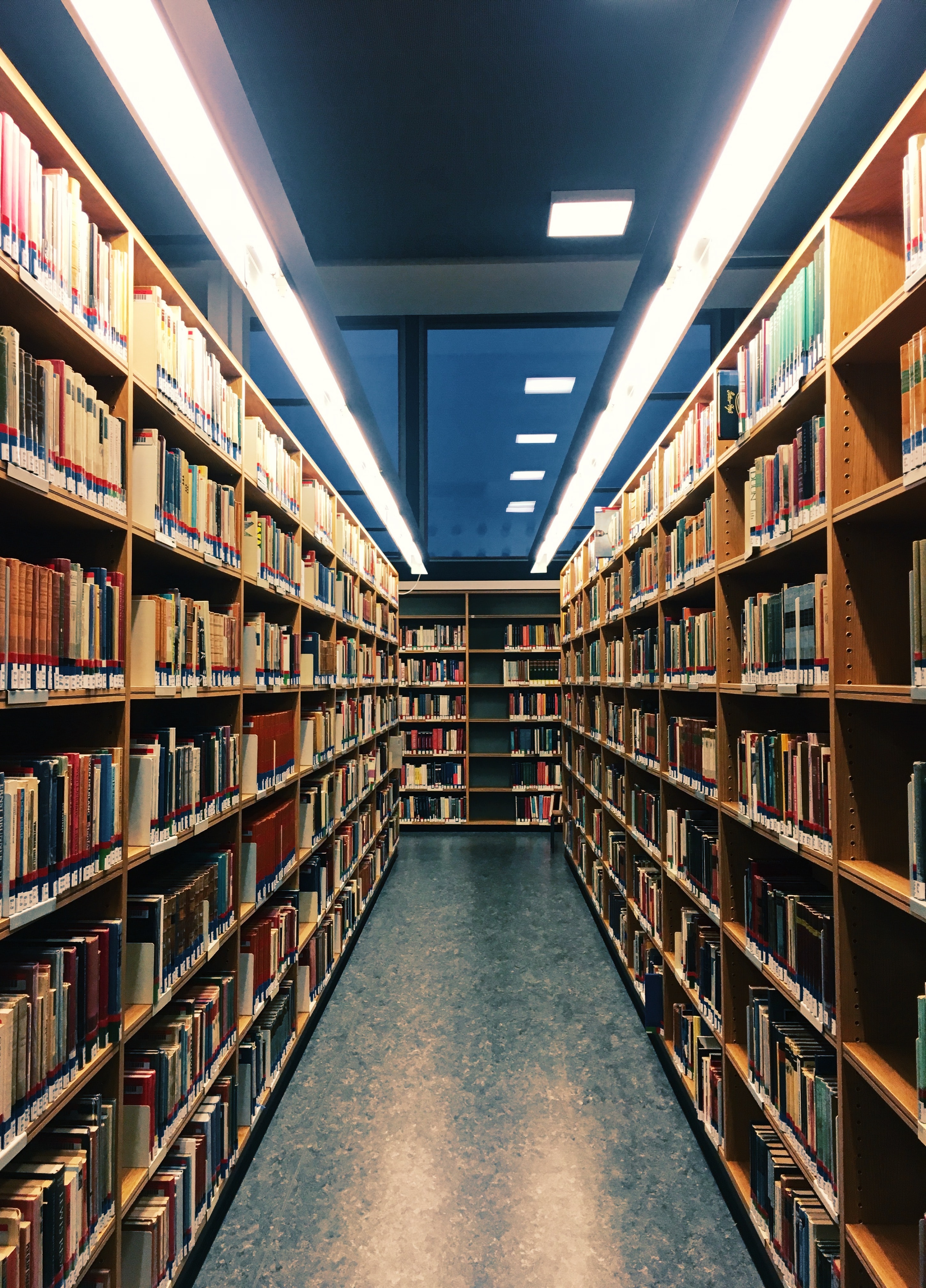 biblioteca4