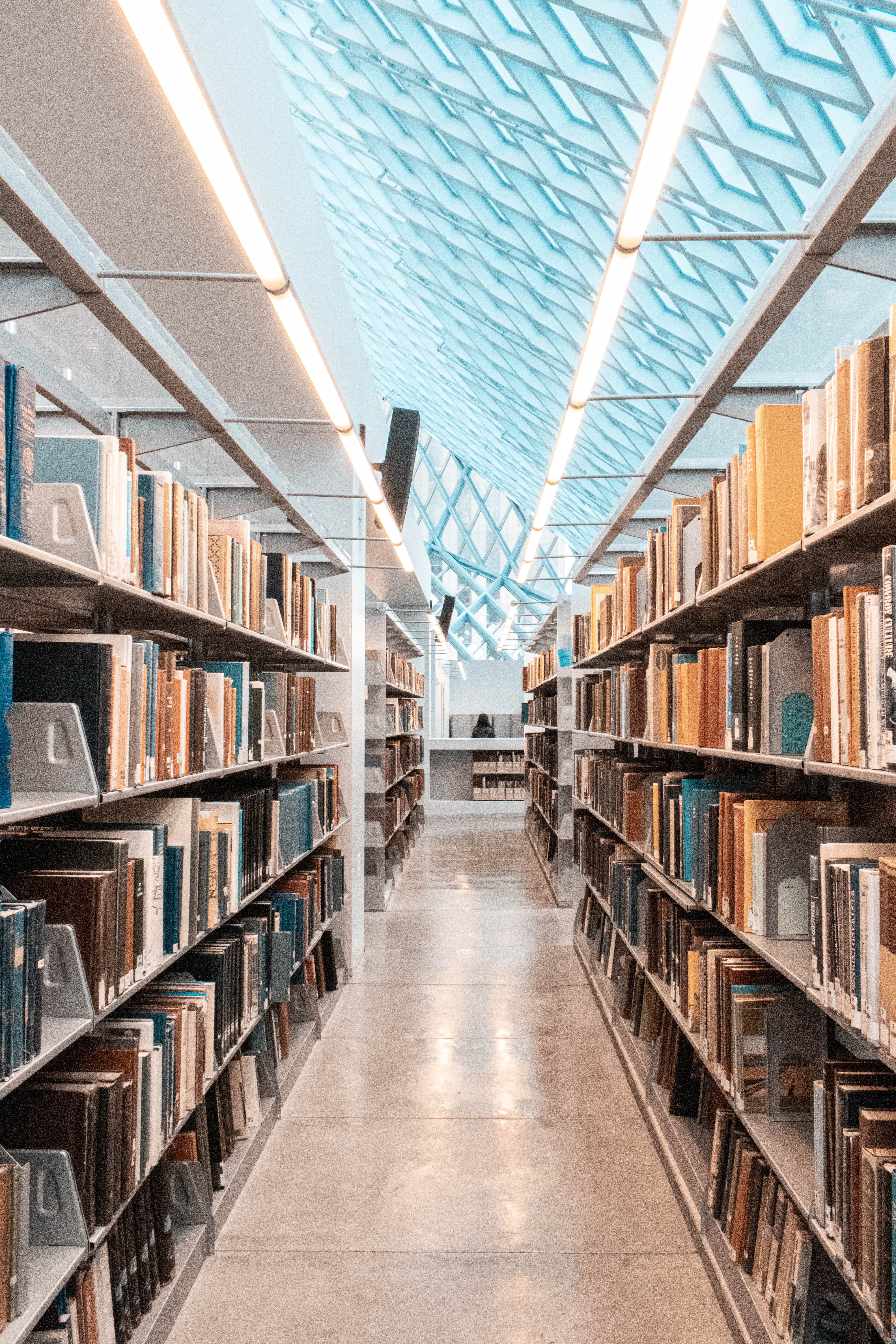 biblioteca5