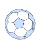 pelota