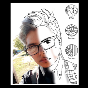 perfil
