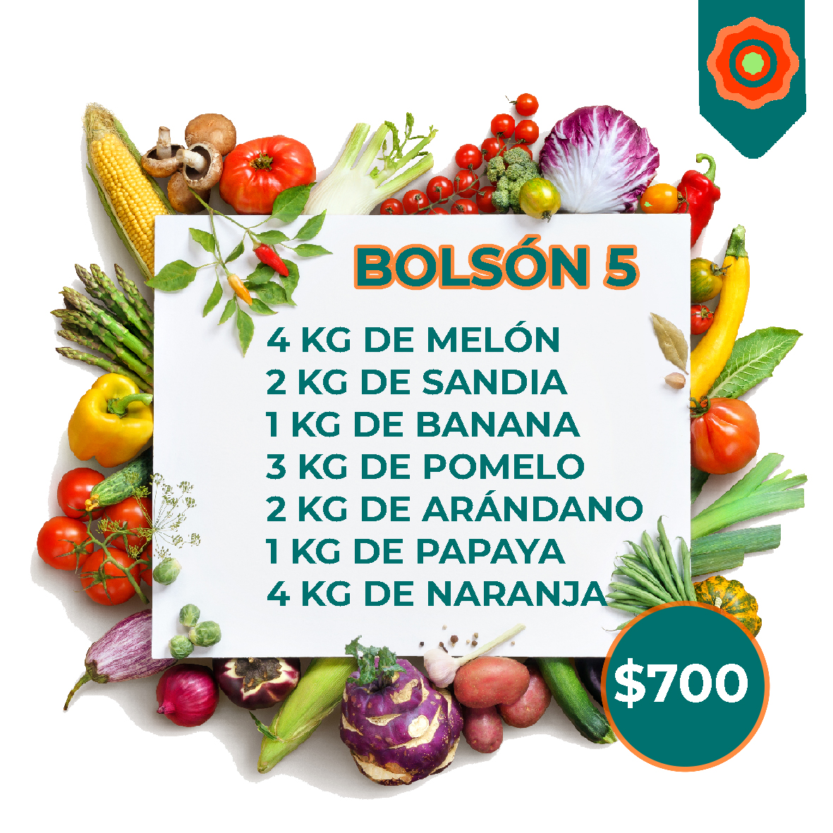 BOLSON 5