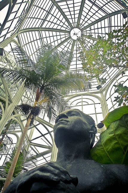 botanica general
