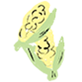 choclo