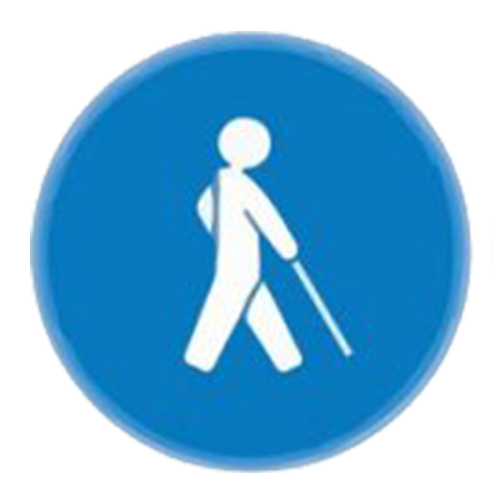 discapacidad-visual