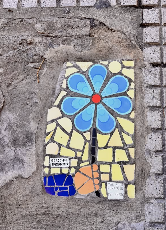 mosaico terminado ya colocado en la vereda