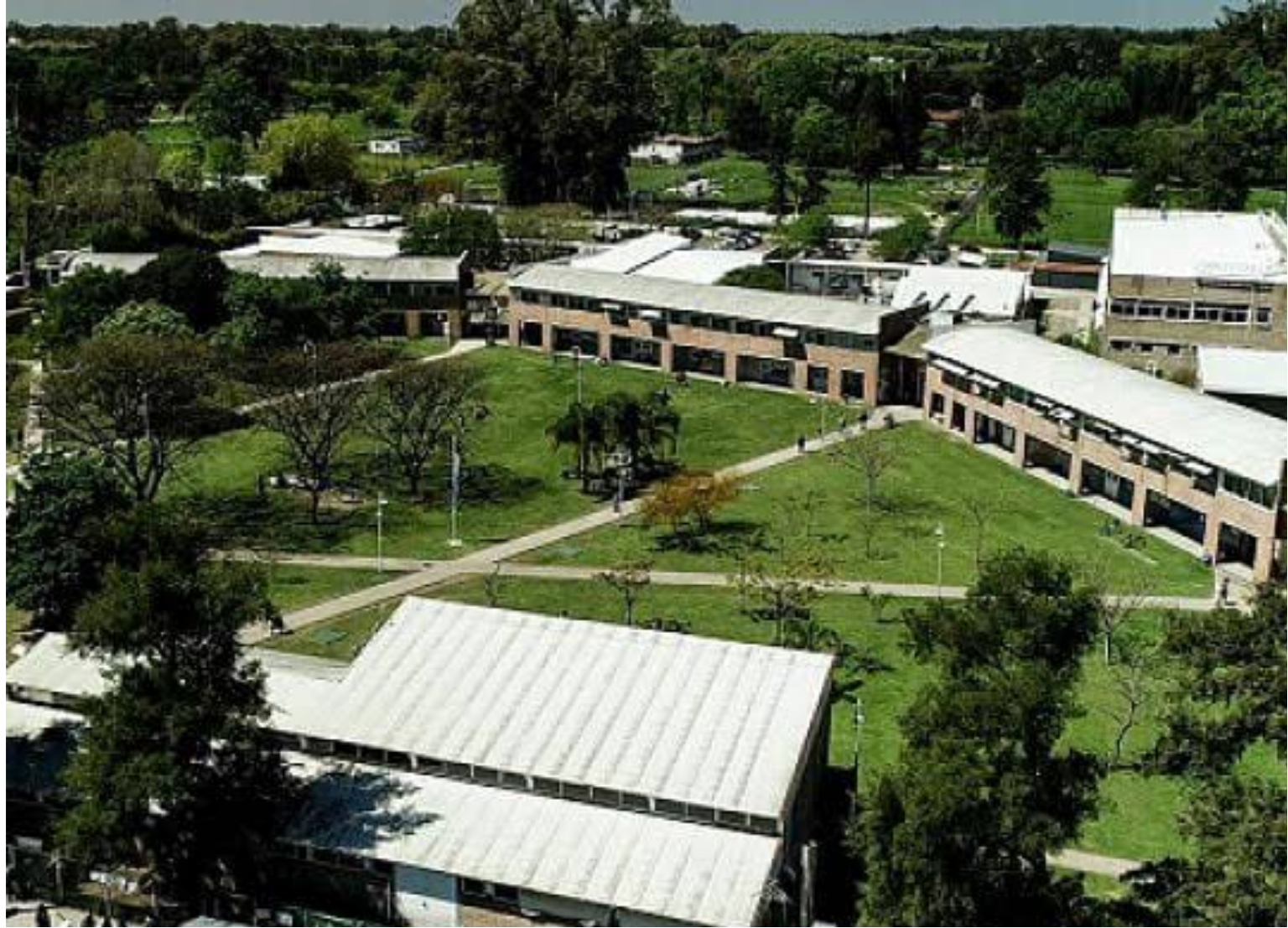 Universidad UNGS