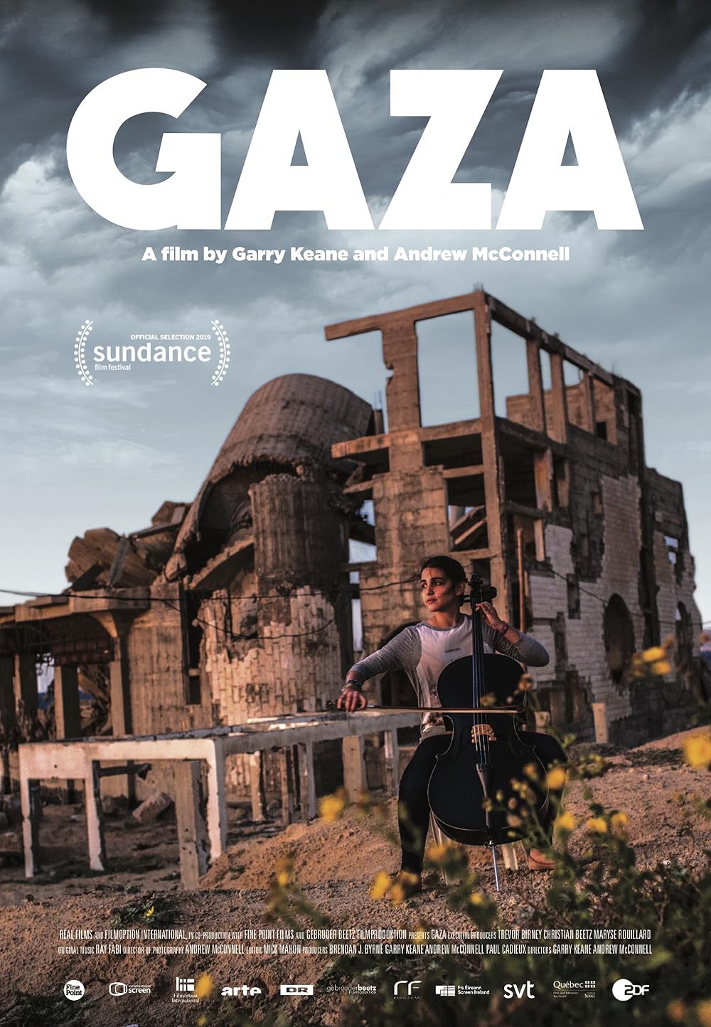 Poster de la película