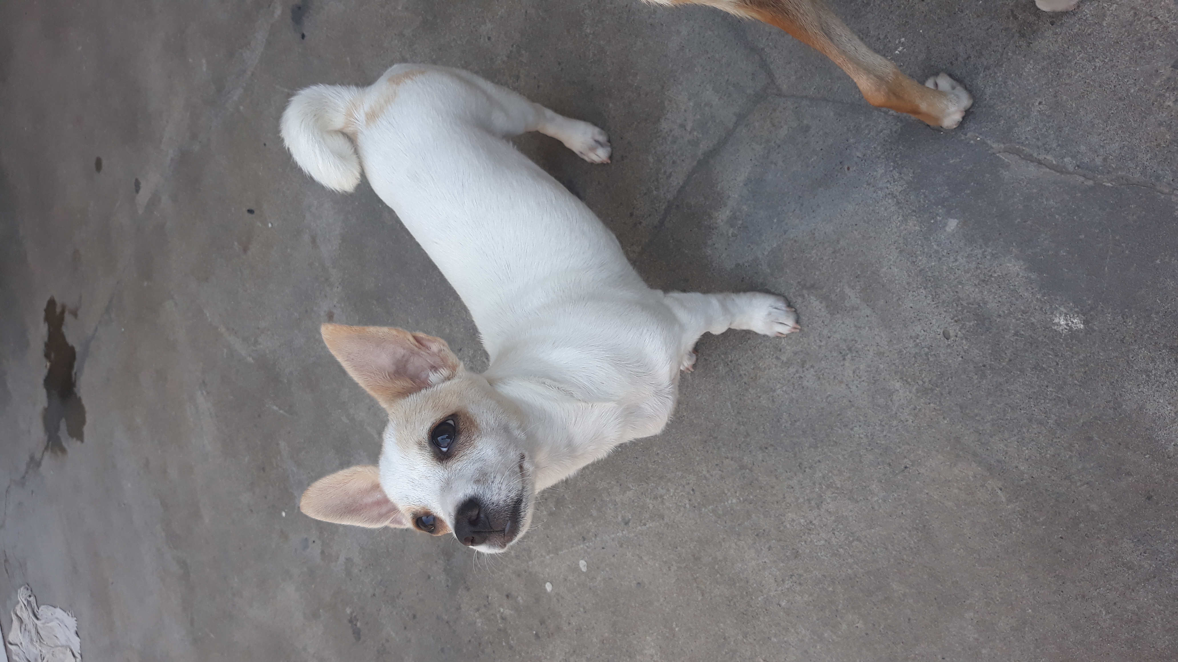 foto de cony