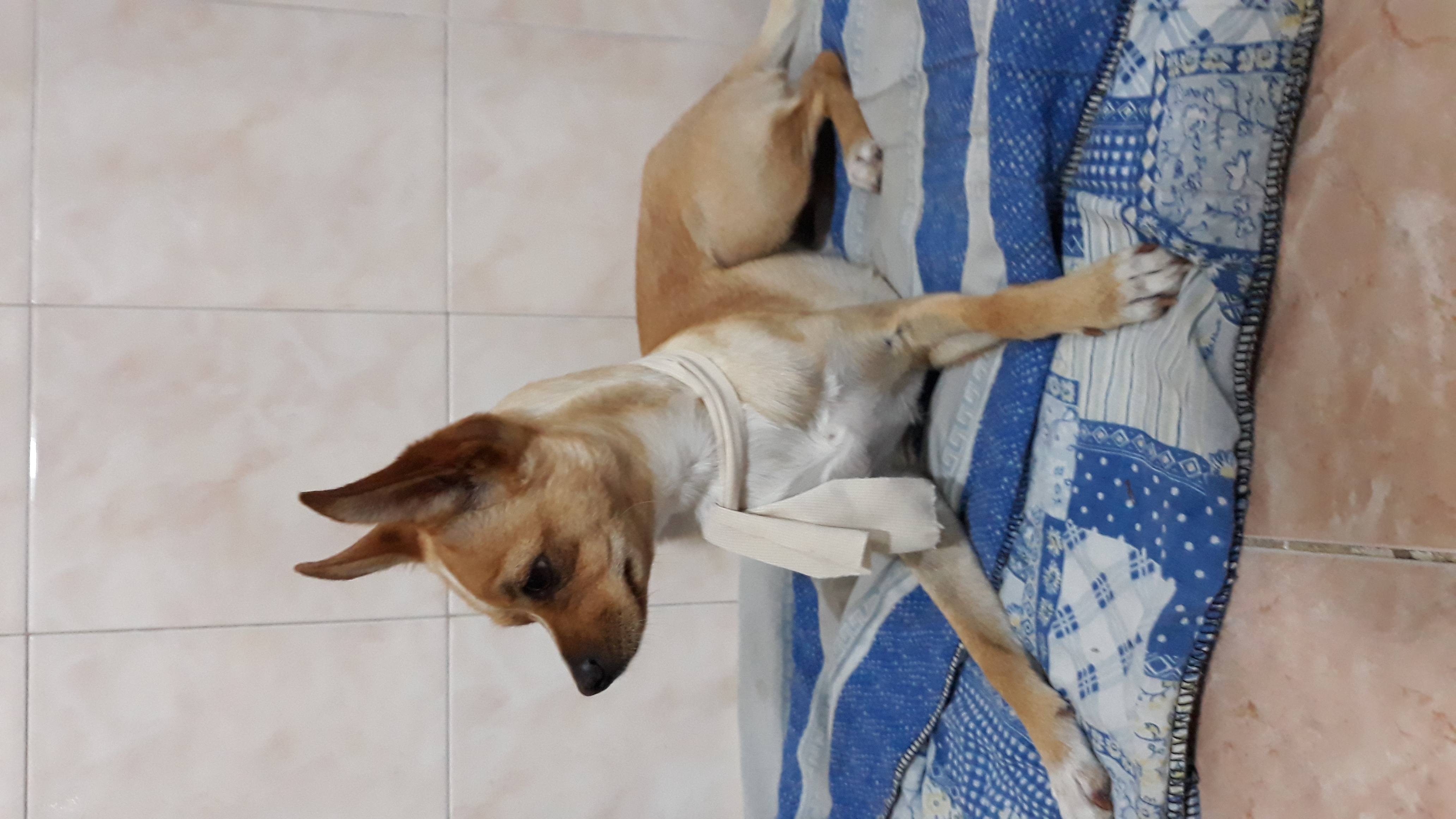 foto de nina