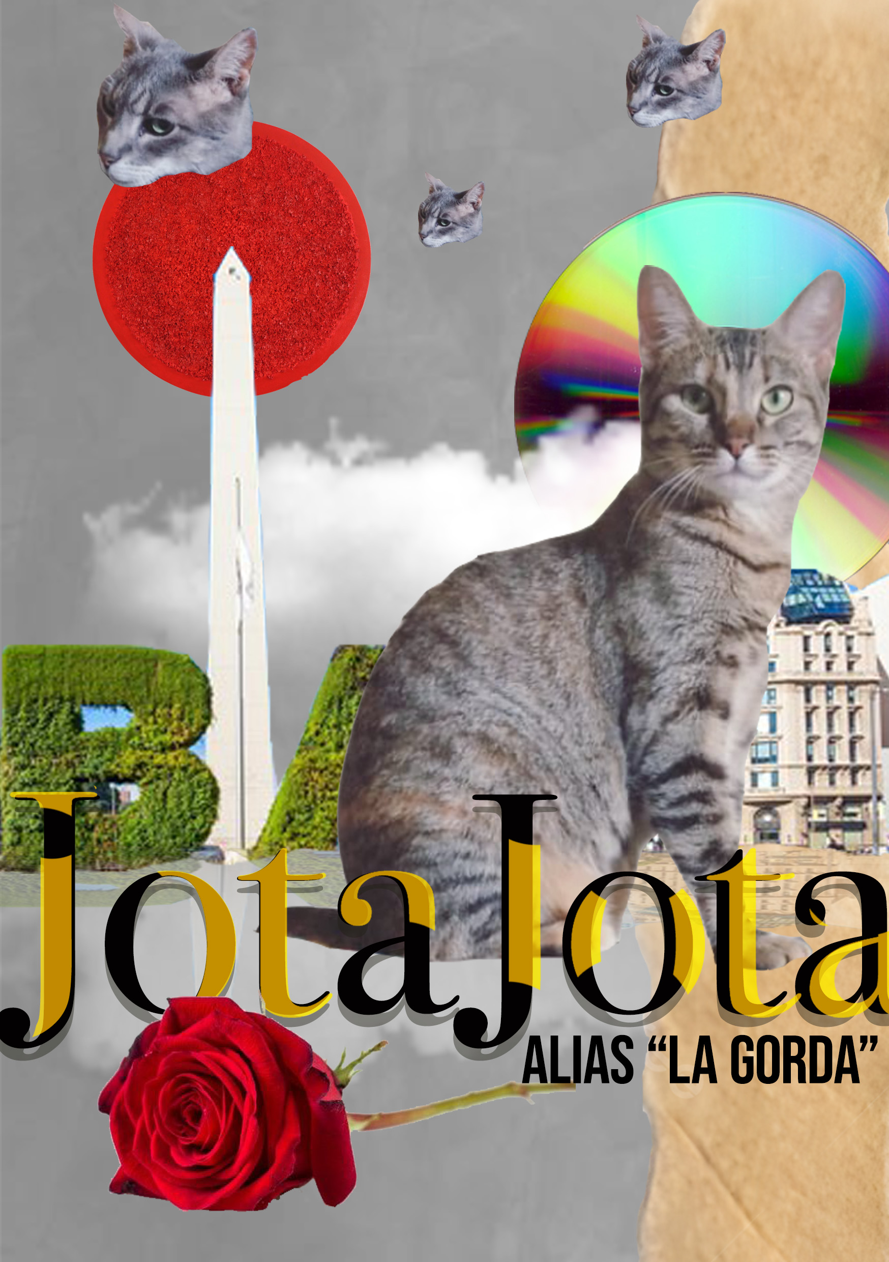 collagejj