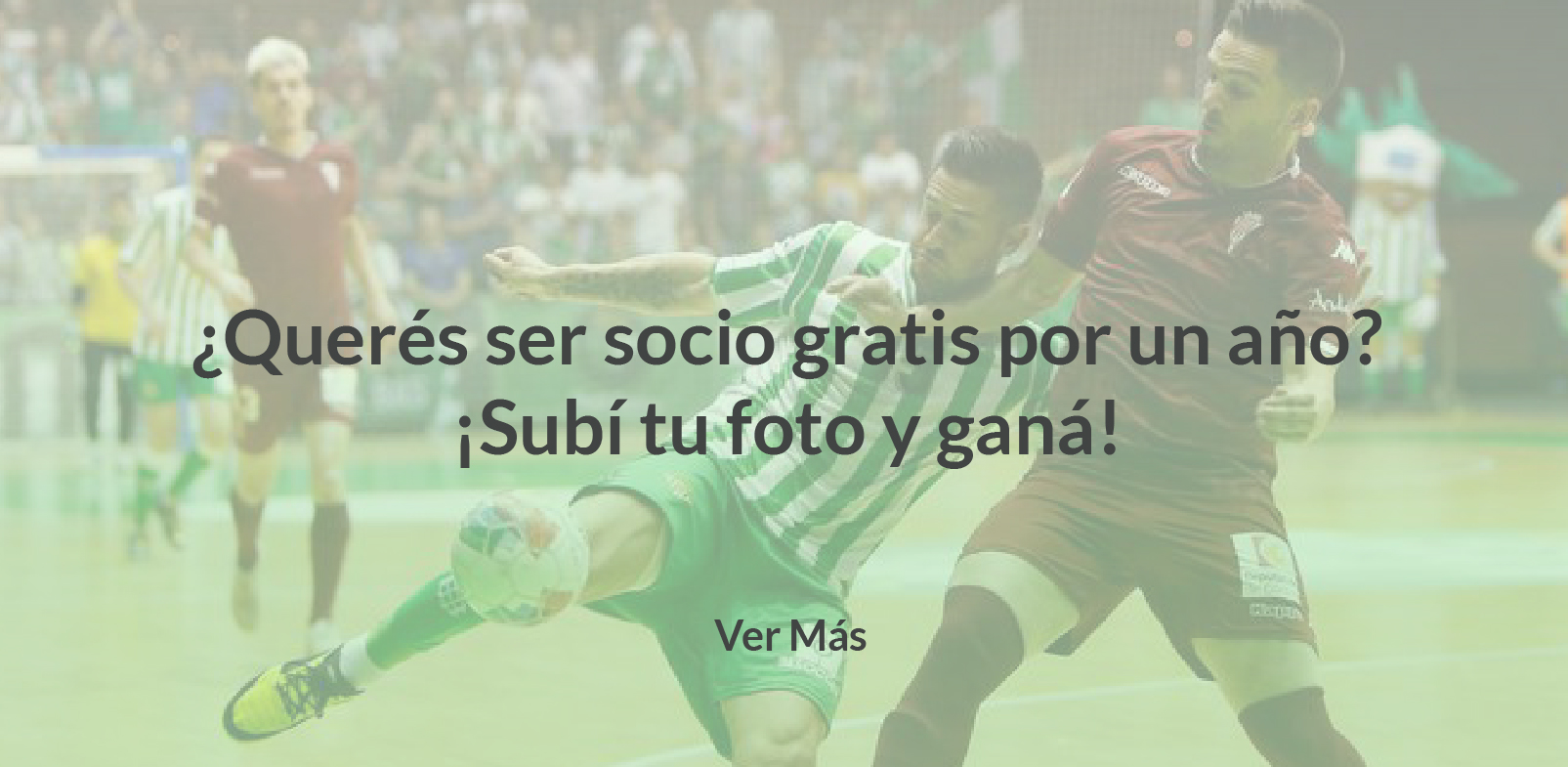 GALERIA