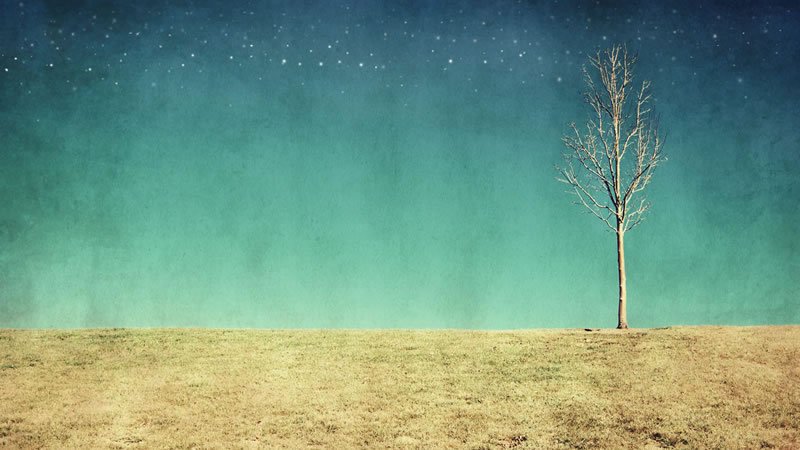 dream